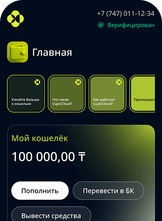 App mockup